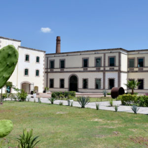Museo del algarismo